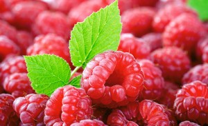 raspberry